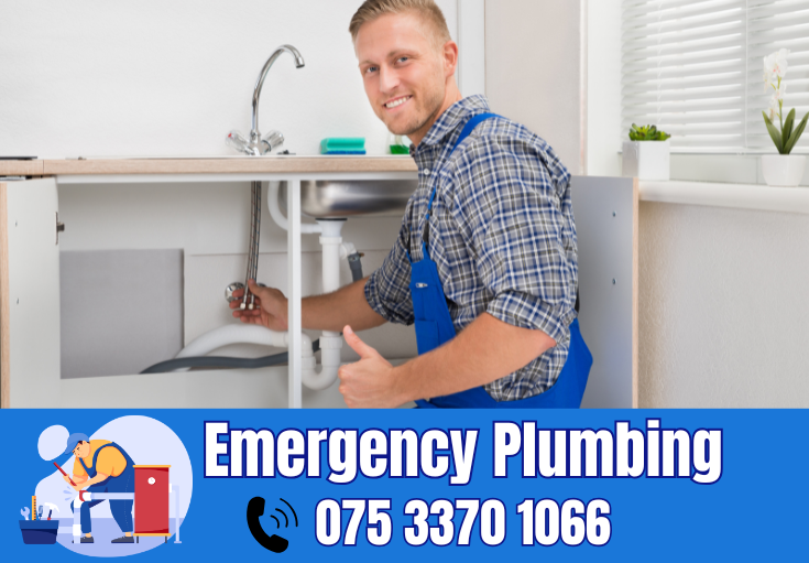  plumber Whitfield