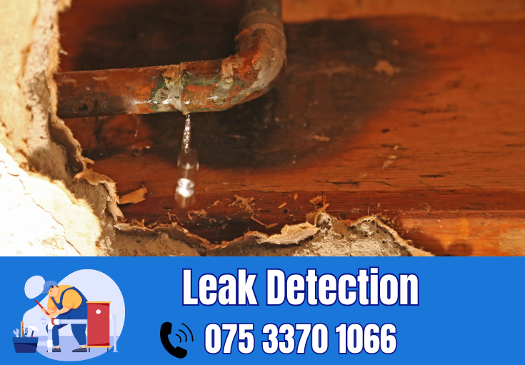 leak detection Dover